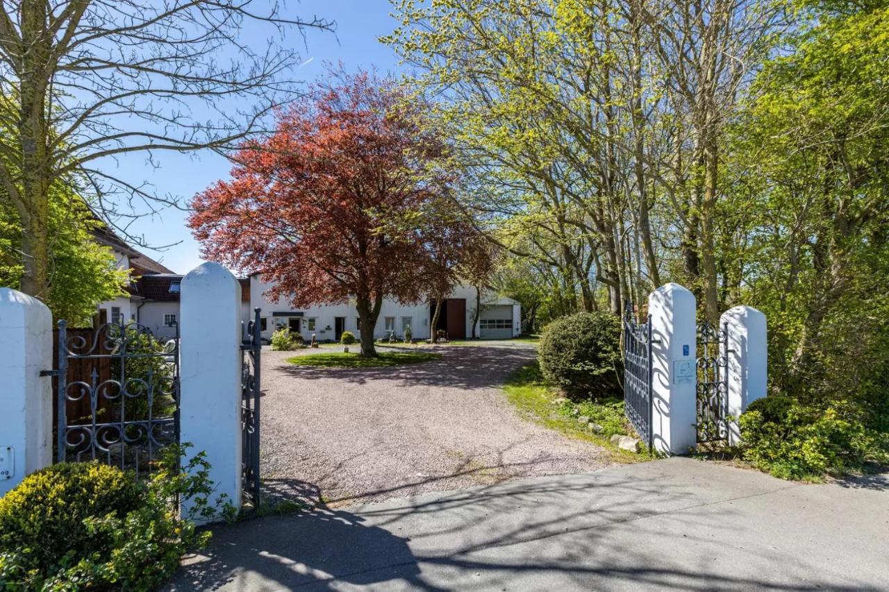 Denkerhof Ferienwohnung Deichblick Reußenköge Eksteriør bilde